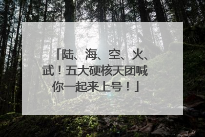 陆、海、空、火、武！五大硬核天团喊你一起来上号！