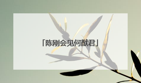 陈刚会见何猷君
