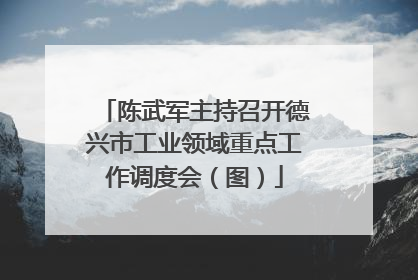 陈武军主持召开德兴市工业领域重点工作调度会（图）
