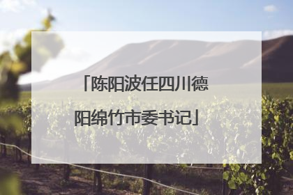 陈阳波任四川德阳绵竹市委书记