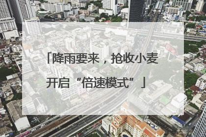降雨要来，抢收小麦开启“倍速模式”