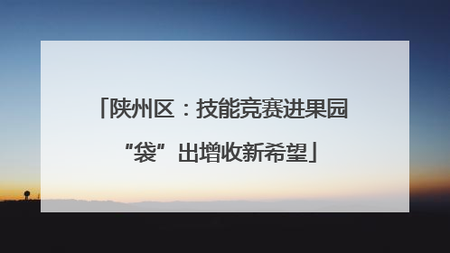 陕州区：技能竞赛进果园 “袋”出增收新希望