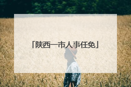 陕西一市人事任免