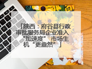 陕西：府谷县行政审批服务局企业准入“加速度” 市场生机“更盎然”