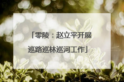 零陵：赵立平开展巡路巡林巡河工作