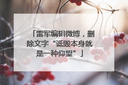 雷军编辑微博，删除文字“诋毁本身就是一种仰望”