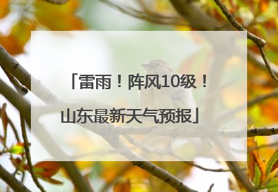 雷雨！阵风10级！山东最新天气预报