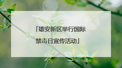 雄安新区举行国际禁毒日宣传活动