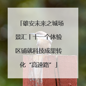 雄安未来之城场景汇丨十一个体验区铺就科技成果转化“高速路”