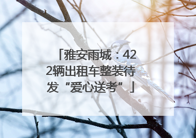 雅安雨城：422辆出租车整装待发“爱心送考”
