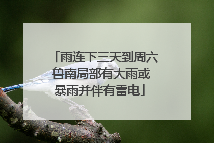 雨连下三天到周六 鲁南局部有大雨或暴雨并伴有雷电