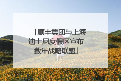 顺丰集团与上海迪士尼度假区宣布数年战略联盟