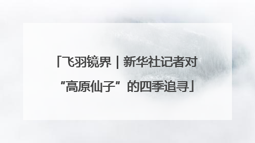 飞羽镜界｜新华社记者对“高原仙子”的四季追寻