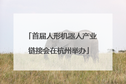 首届人形机器人产业链接会在杭州举办
