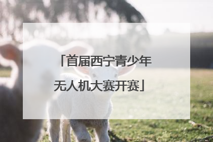 首届西宁青少年无人机大赛开赛