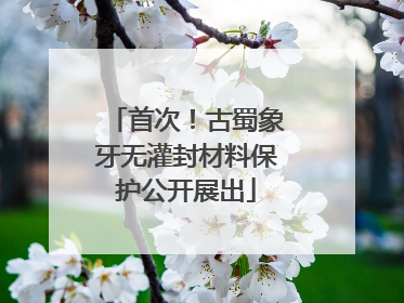 首次！古蜀象牙无灌封材料保护公开展出