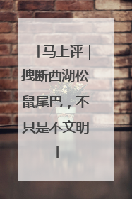 马上评｜拽断西湖松鼠尾巴，不只是不文明