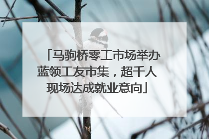 马驹桥零工市场举办蓝领工友市集，超千人现场达成就业意向