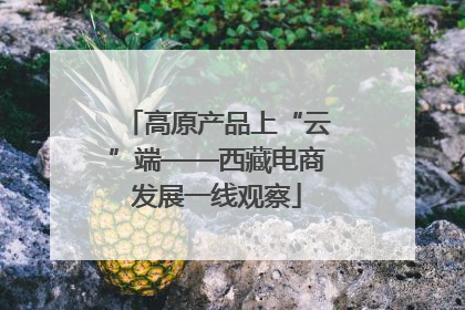 高原产品上“云”端——西藏电商发展一线观察