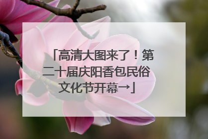 高清大图来了！第二十届庆阳香包民俗文化节开幕→