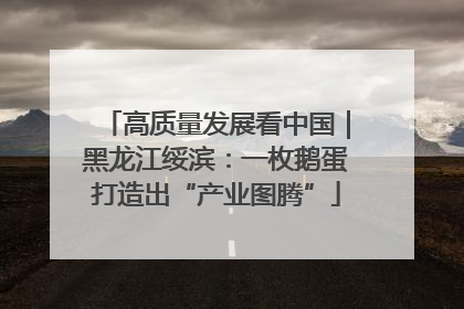 高质量发展看中国｜黑龙江绥滨：一枚鹅蛋打造出“产业图腾”