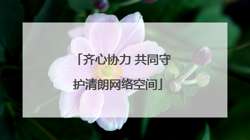 齐心协力 共同守护清朗网络空间