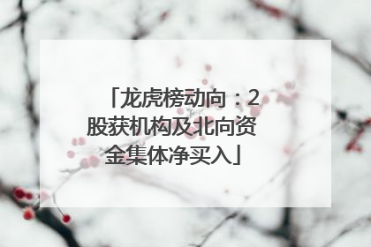 龙虎榜动向：2股获机构及北向资金集体净买入