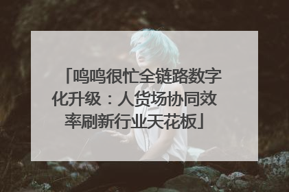 鸣鸣很忙全链路数字化升级：人货场协同效率刷新行业天花板