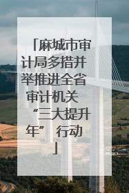 麻城市审计局多措并举推进全省审计机关 “三大提升年” 行动