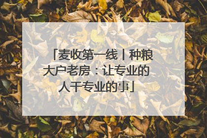 麦收第一线丨种粮大户老房：让专业的人干专业的事
