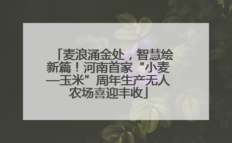 麦浪涌金处，智慧绘新篇！河南首家“小麦—玉米”周年生产无人农场喜迎丰收