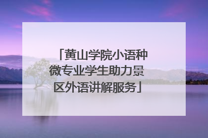 黄山学院小语种微专业学生助力景区外语讲解服务
