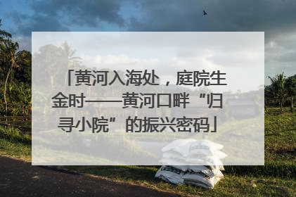黄河入海处，庭院生金时——黄河口畔“归寻小院”的振兴密码