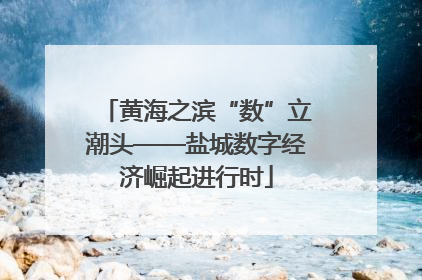 黄海之滨“数”立潮头——盐城数字经济崛起进行时
