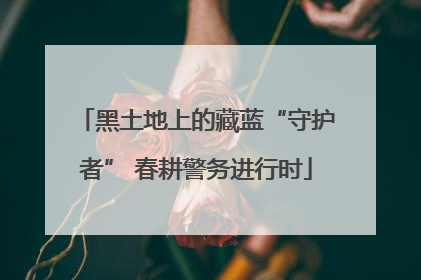 黑土地上的藏蓝“守护者” 春耕警务进行时