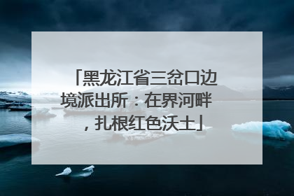 黑龙江省三岔口边境派出所：在界河畔，扎根红色沃土