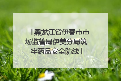 黑龙江省伊春市市场监管局伊美分局筑牢药品安全防线