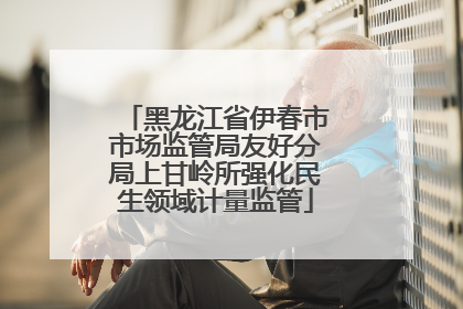 黑龙江省伊春市市场监管局友好分局上甘岭所强化民生领域计量监管