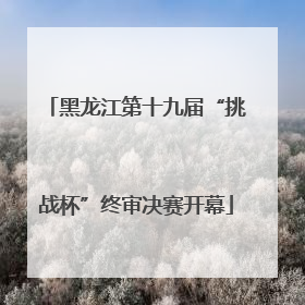 黑龙江第十九届“挑战杯”终审决赛开幕