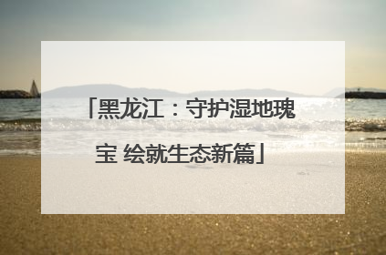 黑龙江：守护湿地瑰宝 绘就生态新篇