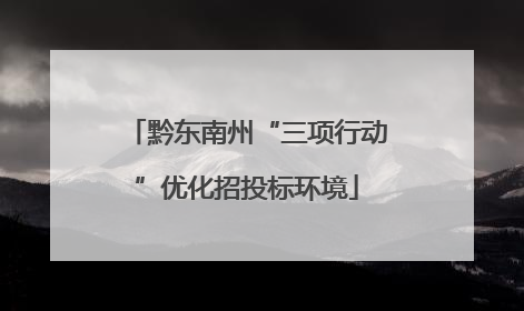 黔东南州“三项行动”优化招投标环境