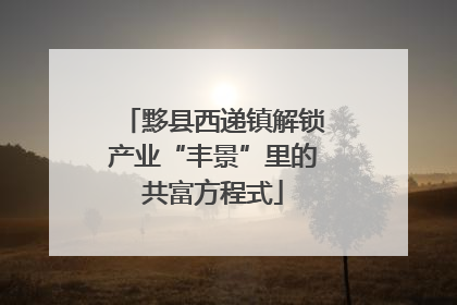 黟县西递镇解锁产业“丰景”里的共富方程式