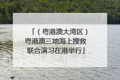 （粤港澳大湾区）粤港澳三地海上搜救联合演习在港举行