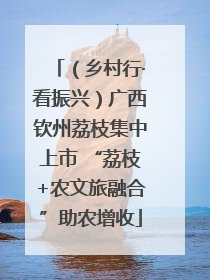 （乡村行·看振兴）广西钦州荔枝集中上市 “荔枝+农文旅融合”助农增收