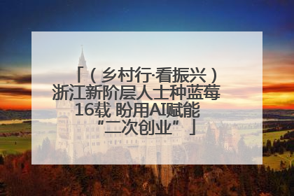 （乡村行·看振兴）浙江新阶层人士种蓝莓16载 盼用AI赋能“二次创业”