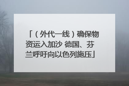 （外代一线）确保物资运入加沙 德国、芬兰呼吁向以色列施压