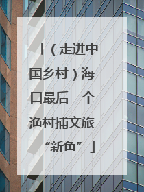 （走进中国乡村）海口最后一个渔村捕文旅“新鱼”