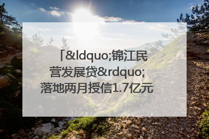 “锦江民营发展贷”落地两月授信1.7亿元，惠及118家民企