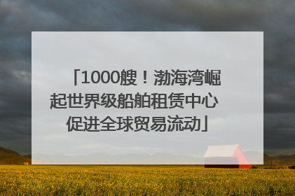 1000艘！渤海湾崛起世界级船舶租赁中心 促进全球贸易流动