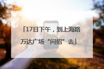 17日下午，到上海路万达广场“问招”去